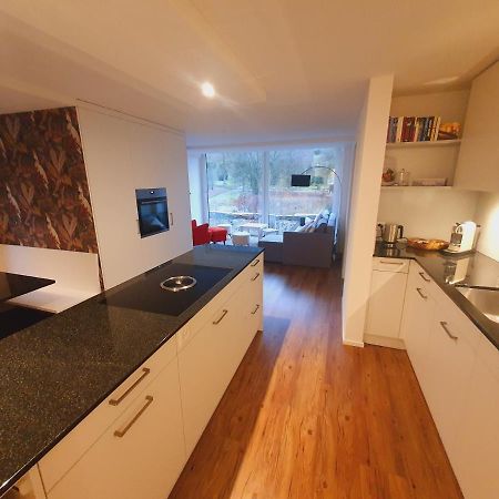 Neue Wohnung An Stadtrand Mit Parkplatz Ebikon Luaran gambar