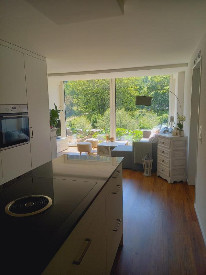 Neue Wohnung An Stadtrand Mit Parkplatz Ebikon Luaran gambar