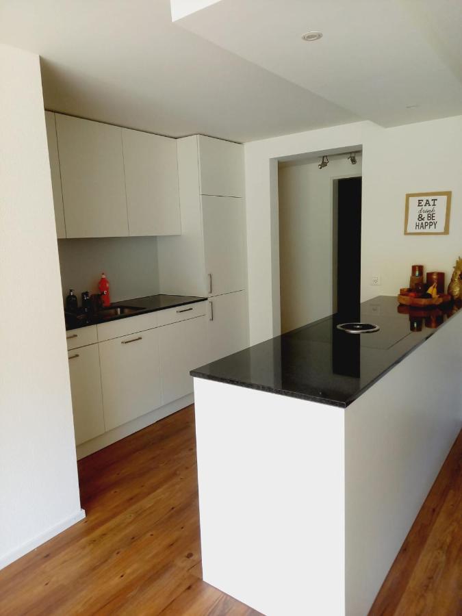 Neue Wohnung An Stadtrand Mit Parkplatz Ebikon Luaran gambar